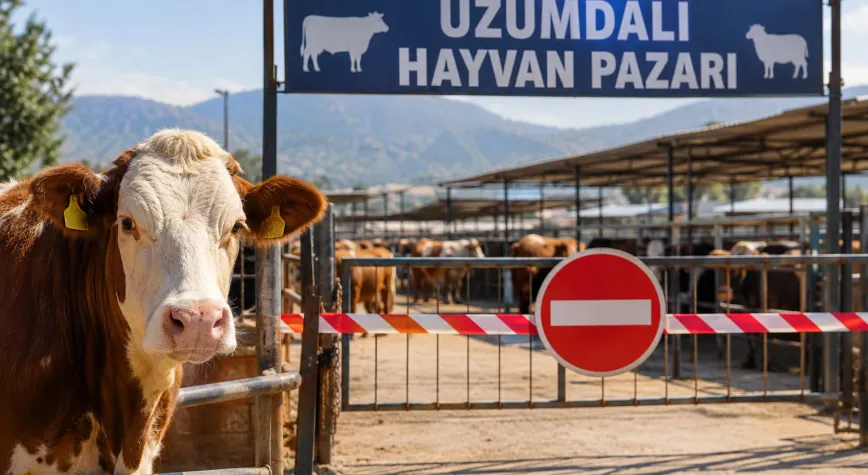 Manşet Resmi