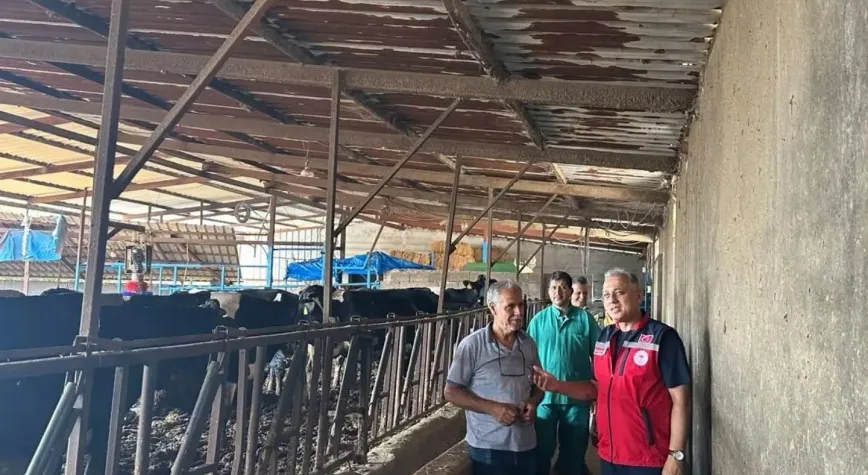 Manşet Resmi