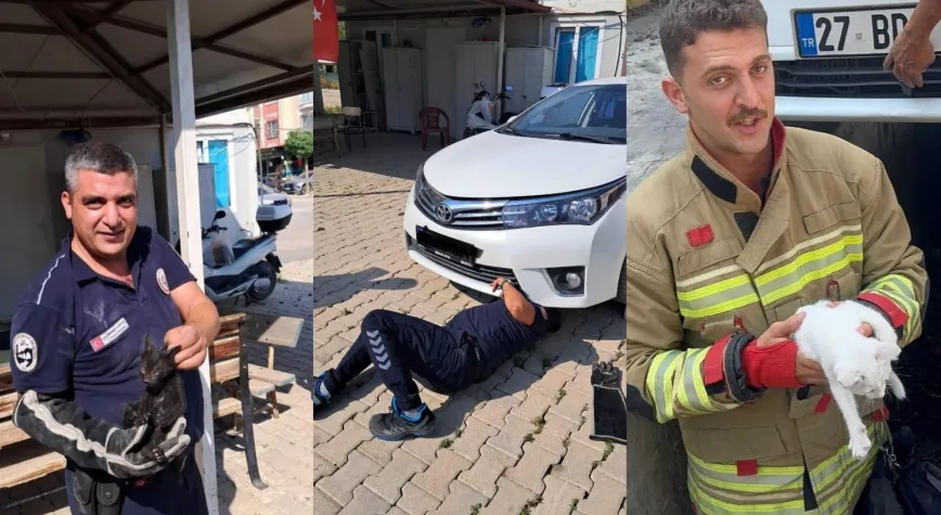 Manşet Resmi