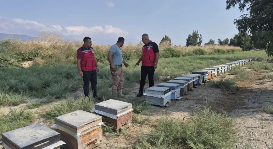 Manşet Resmi