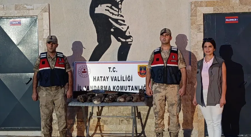 Manşet Resmi