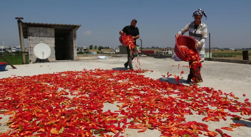 Manşet Resmi