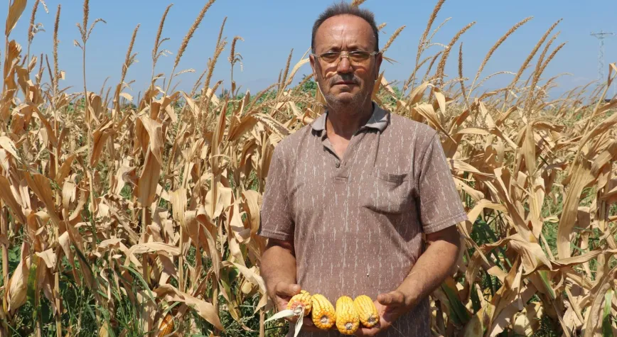 Manşet Resmi