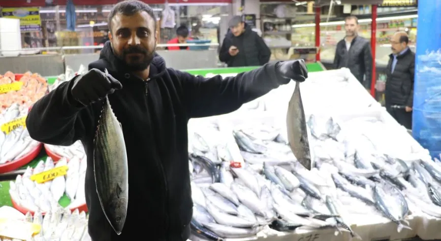 Manşet Resmi