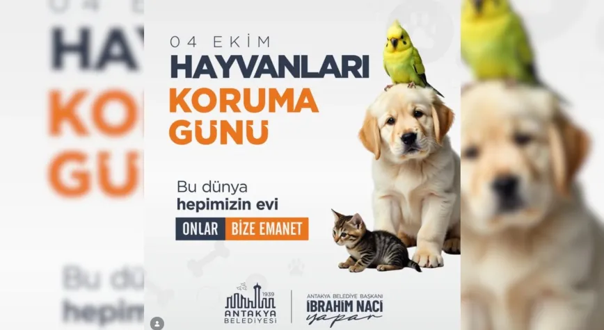 Manşet Resmi