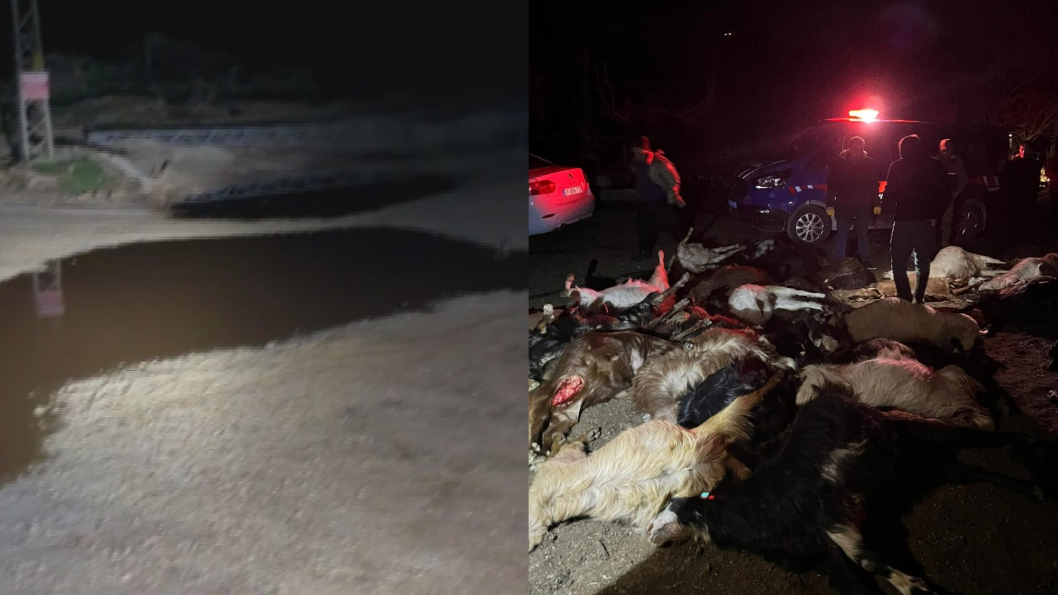 Yayladağı’nda Zehirli Su Krizi