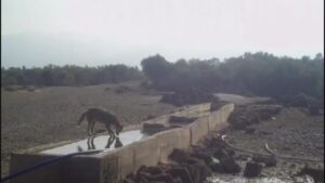 AW011506_04