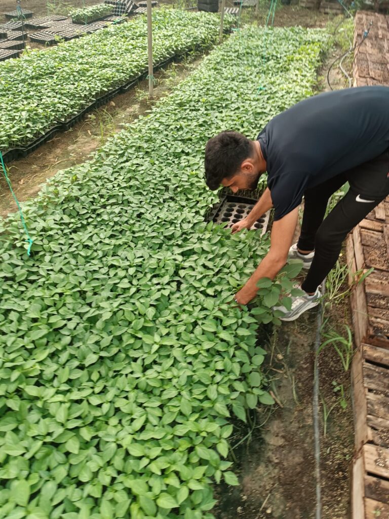 SAMANDAĞ TARIMSAL KALKINMA KOOPERATİFİ’NDEN ÇİFTÇİLERE FİDE VE GÜBRE DESTEĞİ