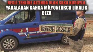 Nesli tehlike altındaki 4 bin kuşla yakalanan şahsa 5 milyon 600 bin TL ceza