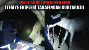 Hatay’da kuyuya düşen eşek kurtarıldı