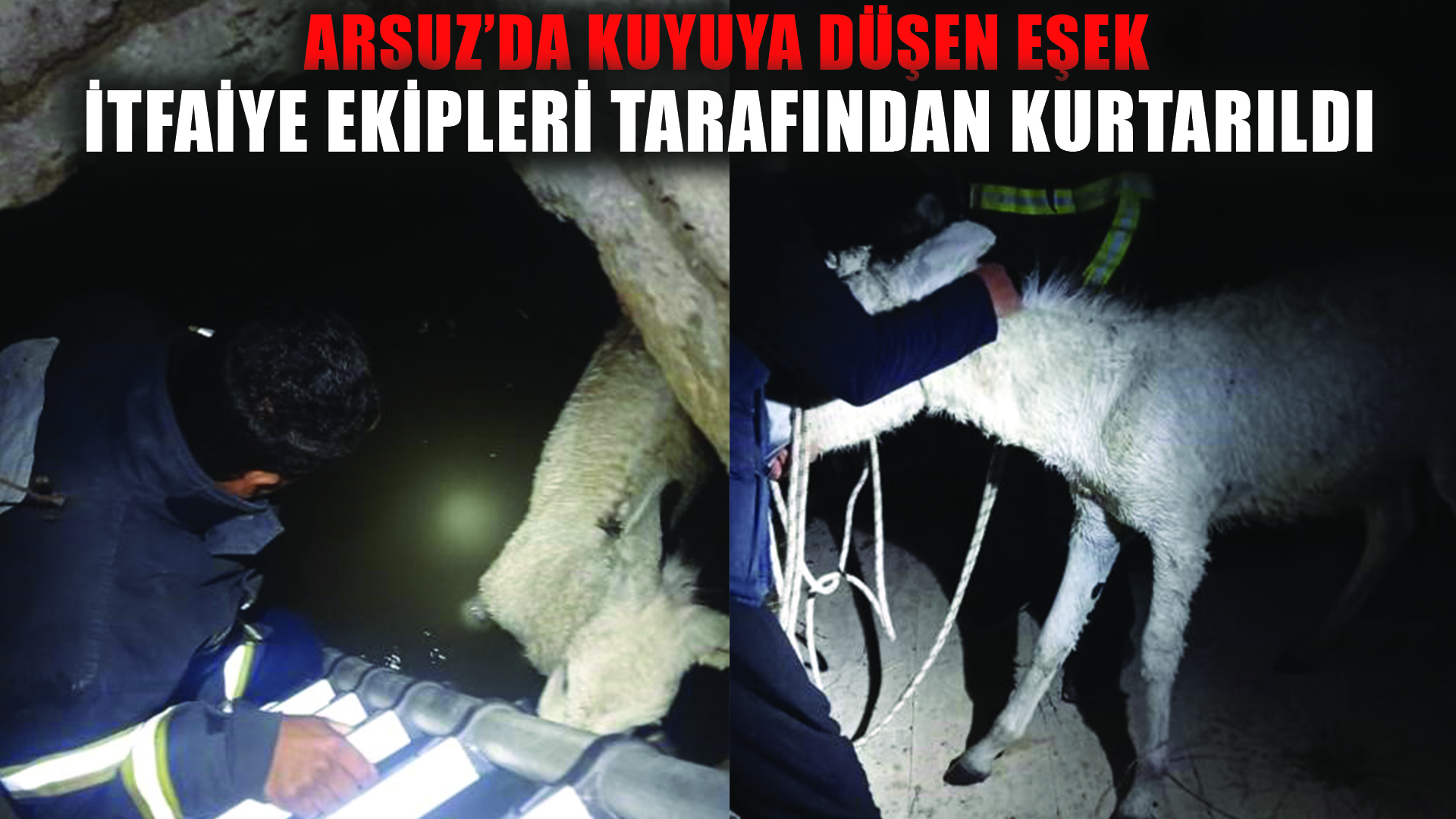 Hatay’da kuyuya düşen eşek kurtarıldı