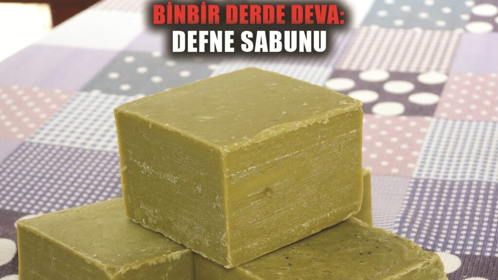 BİNBİR DERDE DEVA: DEFNE SABUNU