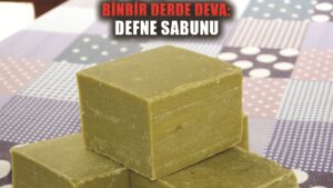 BİNBİR DERDE DEVA: DEFNE SABUNU