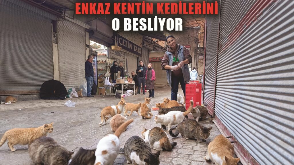 Enkaz kentin sokak hayvanları onu sesinden tanıyor