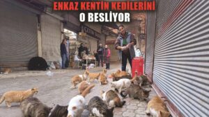 Enkaz kentin sokak hayvanları onu sesinden tanıyor