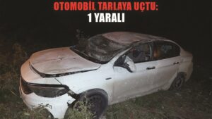 Otomobil tarlaya uçtu: 1 yaralı