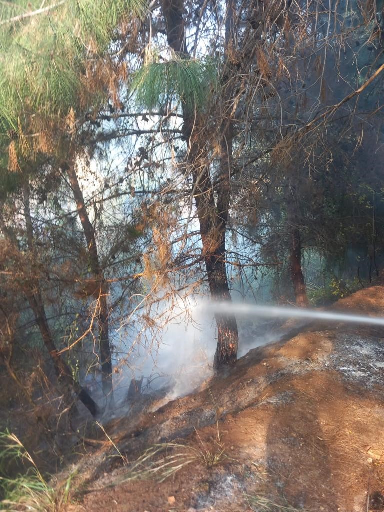 Hatay’da çıkan orman yangını itfaiye ekibi tarafından söndürüldü