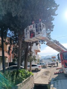 AĞAÇTA MAHSUR KALAN KEDİYİ İTFAİYE EKİPLERİ KURTARDI