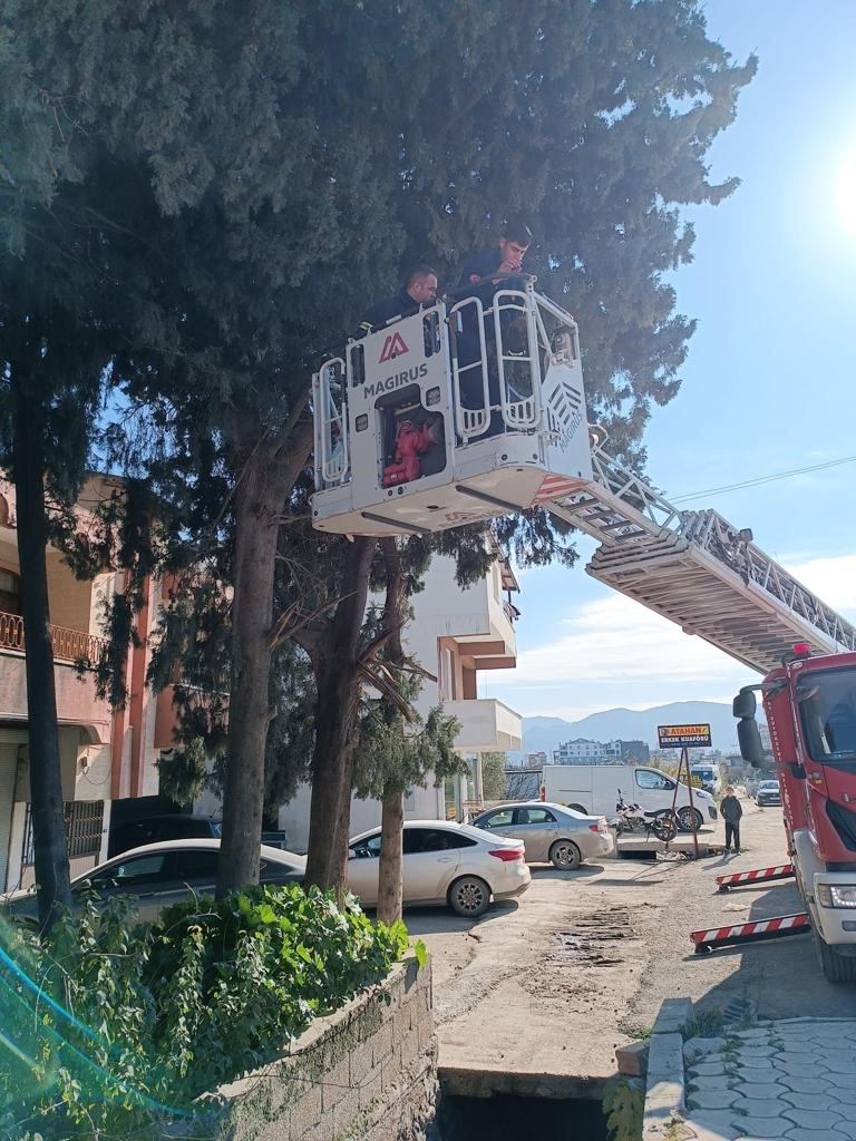 AĞAÇTA MAHSUR KALAN KEDİYİ İTFAİYE EKİPLERİ KURTARDI