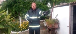 KÜMESE GİREN YILAN YAKALANDI
