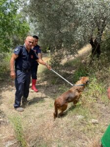 HAVUZDA MAHSUR KALAN KÖPEK KURTARILDI