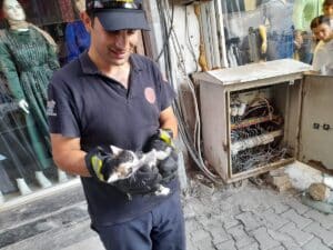 ELEKTRİK PANOSU İÇERİSİNDE MAHSUR KALAN YAVRU KEDİYİ İTFAİYE KURTARDI