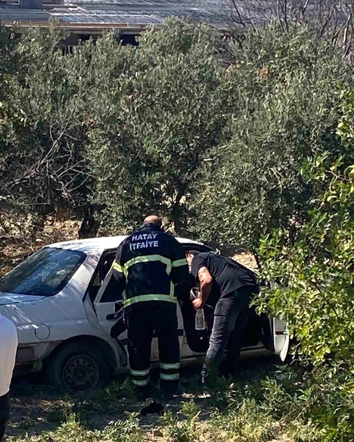 hatayda-zeytin-bahcesine-ucan-otomobildeki-2-kisi-yaralandi-CGax9EEh.jpg