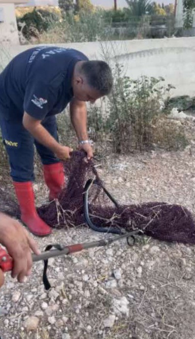 HATAY'DA BALIK AĞINA TAKILAN YILAN İTFAİYE EKİPLERİNCE KURTARILDI