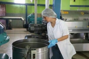 ZEYTİN HASADI ÖNCESİ FABRİKALARDA SIKI DENETİM