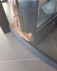 PRİMEMALL AVM'NİN DÖNER KAPISINDA KEDİ MAHSUR KALDI